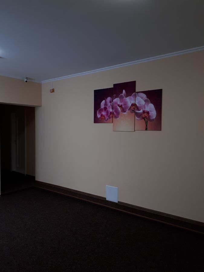 Отель Орхідея Romny-32