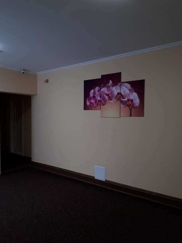 Отель Орхідея Romny-31